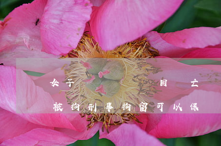 女子體驗娛樂項目墜亡 經(jīng)營者被拘 刑事拘留可以保釋嗎？